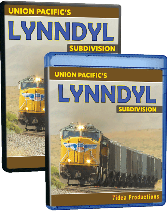 DVD-7ID-LYNNDYL-DVD-BRD-3D