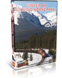 Winter on Kicking Horse Pass