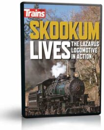 Skookum Lives, The Lazarus Locomotive