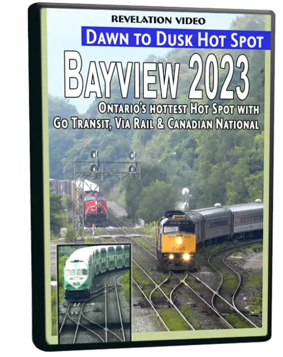 DVD-RV-BALD-3D