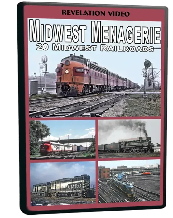 DVD-RV-MIDM-3D